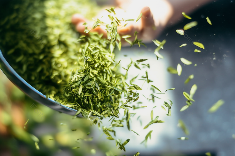 茶园里面青青茶叶茶香四溢,高清,摄影图,摄影图片,图片大全,摄影图免费下载